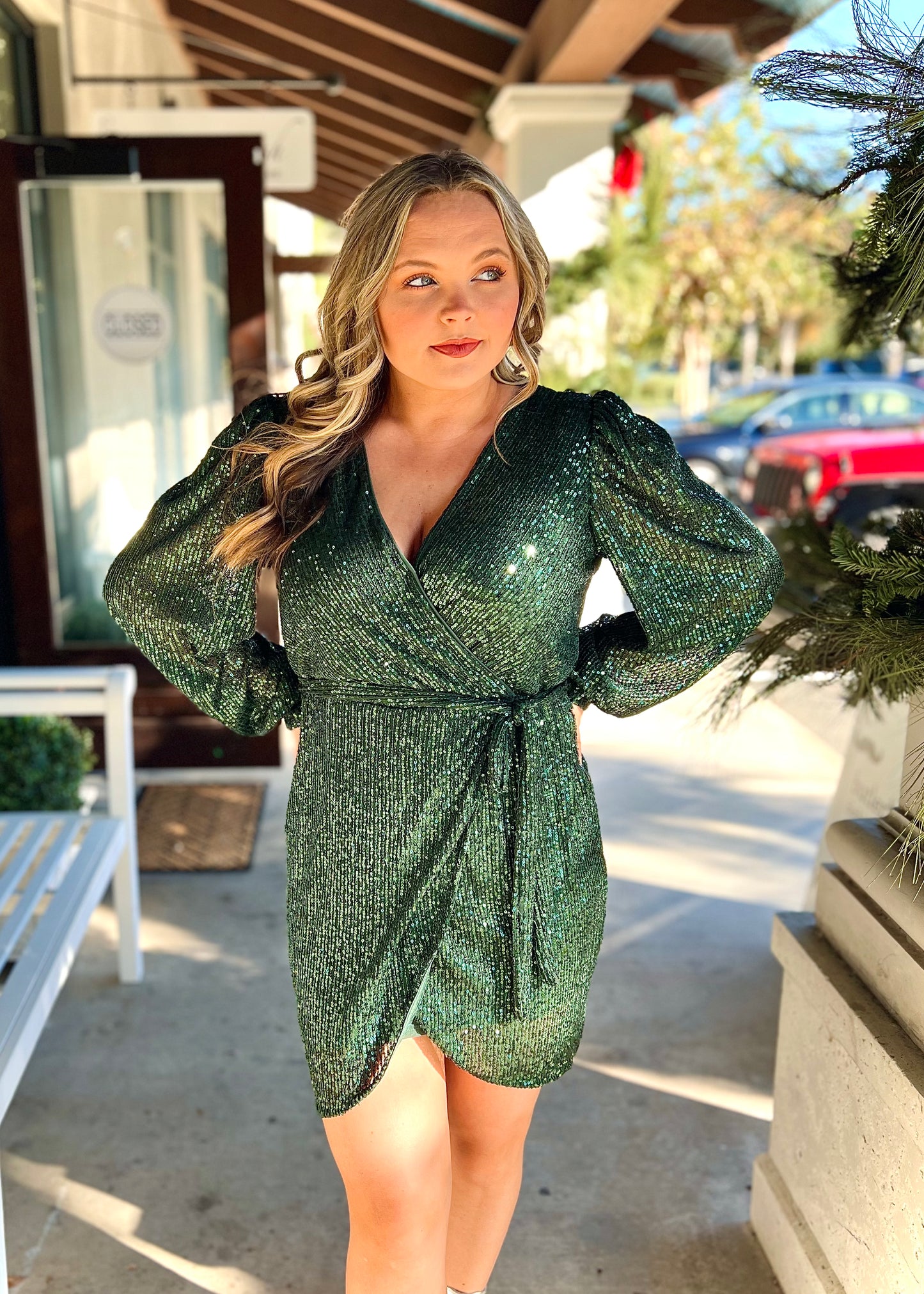 Hunter Sequin Dress